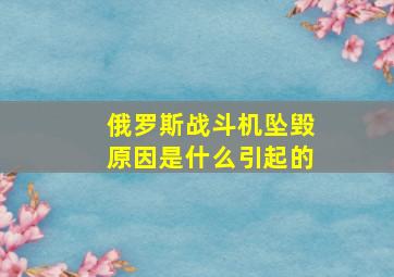 俄罗斯战斗机坠毁原因是什么引起的