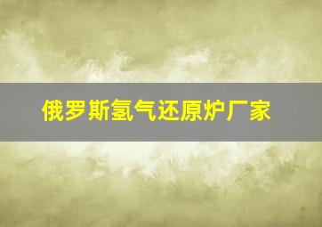 俄罗斯氢气还原炉厂家