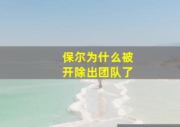 保尔为什么被开除出团队了