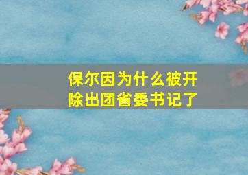 保尔因为什么被开除出团省委书记了