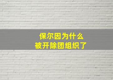 保尔因为什么被开除团组织了