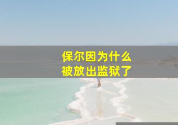 保尔因为什么被放出监狱了