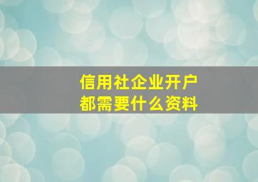 信用社企业开户都需要什么资料