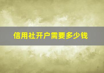 信用社开户需要多少钱