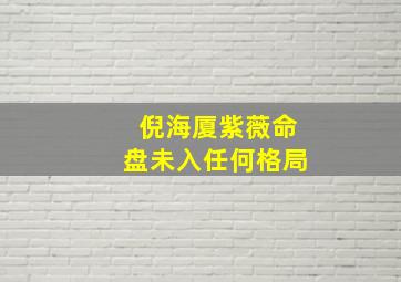 倪海厦紫薇命盘未入任何格局