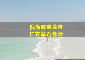 倪海厦麻黄杏仁甘草石膏汤