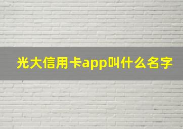 光大信用卡app叫什么名字