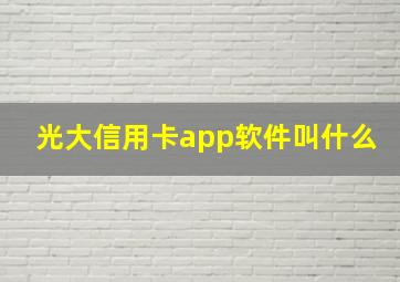 光大信用卡app软件叫什么