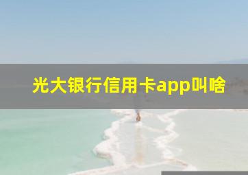 光大银行信用卡app叫啥