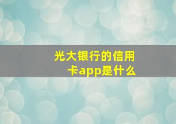 光大银行的信用卡app是什么