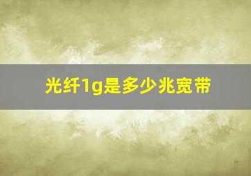 光纤1g是多少兆宽带