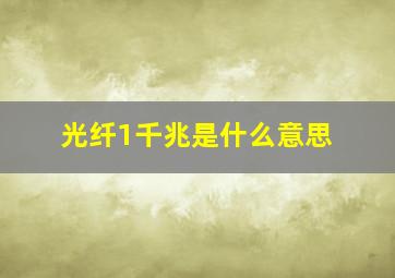 光纤1千兆是什么意思