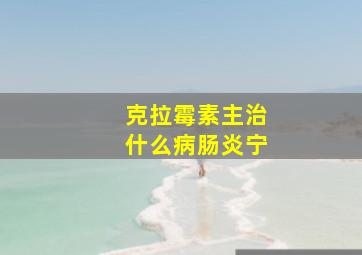 克拉霉素主治什么病肠炎宁