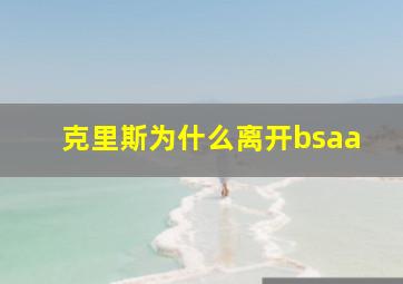 克里斯为什么离开bsaa