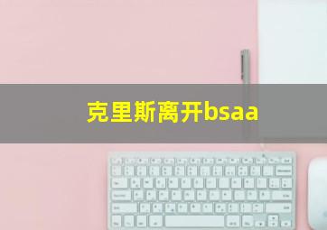 克里斯离开bsaa