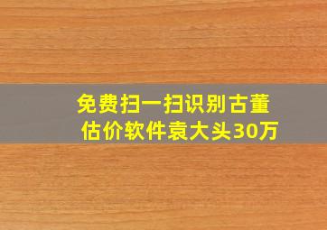 免费扫一扫识别古董估价软件袁大头30万