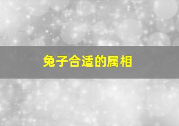 兔子合适的属相