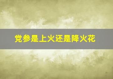 党参是上火还是降火花