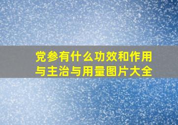 党参有什么功效和作用与主治与用量图片大全