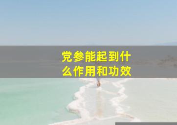 党参能起到什么作用和功效