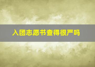 入团志愿书查得很严吗