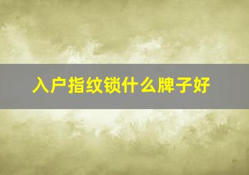 入户指纹锁什么牌子好