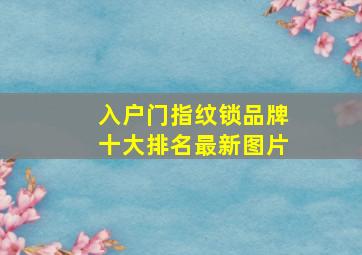 入户门指纹锁品牌十大排名最新图片