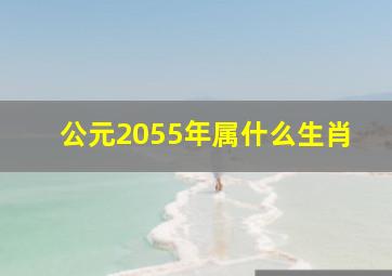 公元2055年属什么生肖