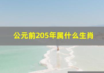 公元前205年属什么生肖