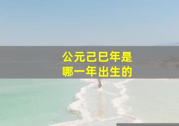 公元己巳年是哪一年出生的