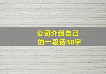 公司介绍自己的一段话30字