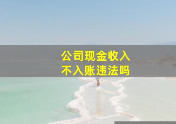 公司现金收入不入账违法吗