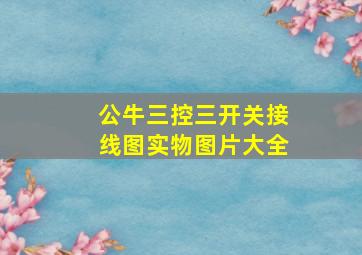 公牛三控三开关接线图实物图片大全