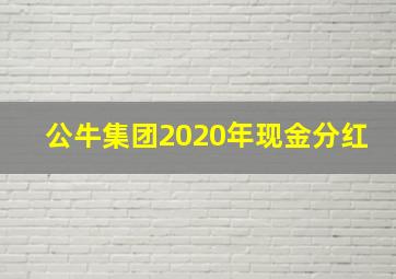 公牛集团2020年现金分红