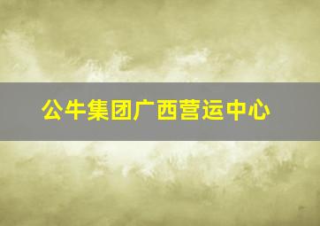 公牛集团广西营运中心