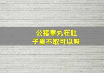 公猪睾丸在肚子里不取可以吗