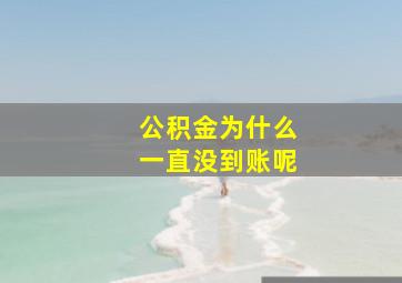 公积金为什么一直没到账呢