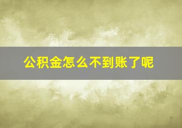 公积金怎么不到账了呢