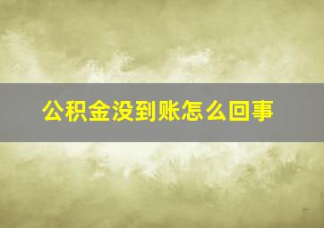 公积金没到账怎么回事