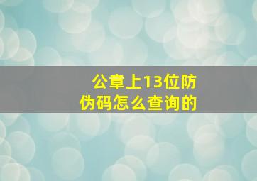 公章上13位防伪码怎么查询的