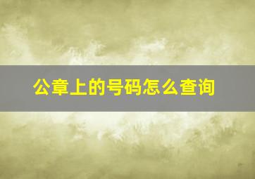 公章上的号码怎么查询