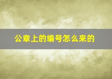 公章上的编号怎么来的