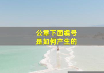 公章下面编号是如何产生的