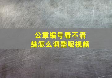 公章编号看不清楚怎么调整呢视频