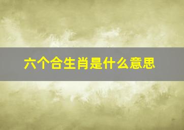 六个合生肖是什么意思