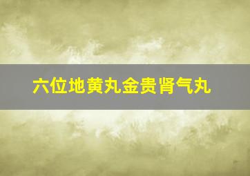 六位地黄丸金贵肾气丸