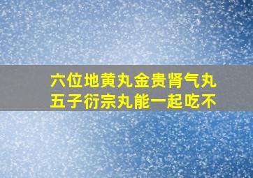 六位地黄丸金贵肾气丸五子衍宗丸能一起吃不