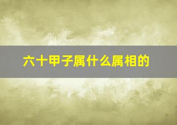 六十甲子属什么属相的