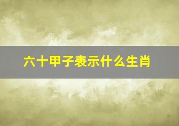 六十甲子表示什么生肖