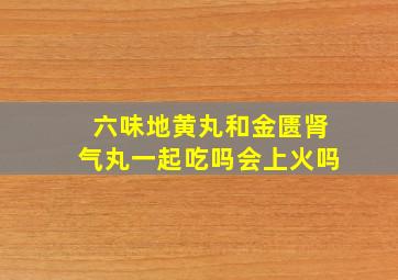 六味地黄丸和金匮肾气丸一起吃吗会上火吗